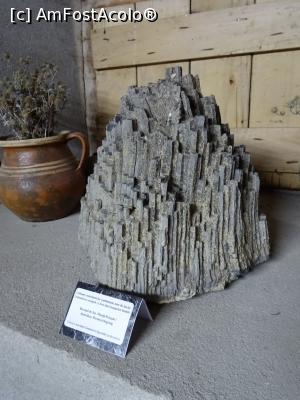 [P19] Coloane centimetrice. » foto by tata123 🔱
 - 
<span class="allrVoted glyphicon glyphicon-heart hidden" id="av1258687"></span>
<a class="m-l-10 hidden" id="sv1258687" onclick="voting_Foto_DelVot(,1258687,23427)" role="button">șterge vot <span class="glyphicon glyphicon-remove"></span></a>
<a id="v91258687" class=" c-red"  onclick="voting_Foto_SetVot(1258687)" role="button"><span class="glyphicon glyphicon-heart-empty"></span> <b>LIKE</b> = Votează poza</a> <img class="hidden"  id="f1258687W9" src="/imagini/loader.gif" border="0" /><span class="AjErrMes hidden" id="e1258687ErM"></span>