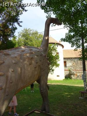 [P20] Dinozaurul rom&acirc;nesc din Țara Hațegului. » foto by tata123 🔱
 - 
<span class="allrVoted glyphicon glyphicon-heart hidden" id="av1258688"></span>
<a class="m-l-10 hidden" id="sv1258688" onclick="voting_Foto_DelVot(,1258688,23427)" role="button">șterge vot <span class="glyphicon glyphicon-remove"></span></a>
<a id="v91258688" class=" c-red"  onclick="voting_Foto_SetVot(1258688)" role="button"><span class="glyphicon glyphicon-heart-empty"></span> <b>LIKE</b> = Votează poza</a> <img class="hidden"  id="f1258688W9" src="/imagini/loader.gif" border="0" /><span class="AjErrMes hidden" id="e1258688ErM"></span>