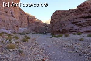 [P33] Red Canyon, în spate am lăsat canionul și mergem pe valea largă printre stânci în continuare pe Traseul verde...  » foto by mprofeanu
 - 
<span class="allrVoted glyphicon glyphicon-heart hidden" id="av1148466"></span>
<a class="m-l-10 hidden" id="sv1148466" onclick="voting_Foto_DelVot(,1148466,23430)" role="button">șterge vot <span class="glyphicon glyphicon-remove"></span></a>
<a id="v91148466" class=" c-red"  onclick="voting_Foto_SetVot(1148466)" role="button"><span class="glyphicon glyphicon-heart-empty"></span> <b>LIKE</b> = Votează poza</a> <img class="hidden"  id="f1148466W9" src="/imagini/loader.gif" border="0" /><span class="AjErrMes hidden" id="e1148466ErM"></span>