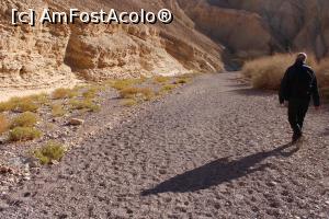 [P37] Împrejurimi Red Canyon, Traseul verde, vale largă și nisipoasă » foto by mprofeanu
 - 
<span class="allrVoted glyphicon glyphicon-heart hidden" id="av1148470"></span>
<a class="m-l-10 hidden" id="sv1148470" onclick="voting_Foto_DelVot(,1148470,23430)" role="button">șterge vot <span class="glyphicon glyphicon-remove"></span></a>
<a id="v91148470" class=" c-red"  onclick="voting_Foto_SetVot(1148470)" role="button"><span class="glyphicon glyphicon-heart-empty"></span> <b>LIKE</b> = Votează poza</a> <img class="hidden"  id="f1148470W9" src="/imagini/loader.gif" border="0" /><span class="AjErrMes hidden" id="e1148470ErM"></span>