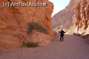 [P40] Împrejurimi Red Canyon, Traseul verde este spectaculos, ce culori!!! » foto by mprofeanu
 - 
<span class="allrVoted glyphicon glyphicon-heart hidden" id="av1148473"></span>
<a class="m-l-10 hidden" id="sv1148473" onclick="voting_Foto_DelVot(,1148473,23430)" role="button">șterge vot <span class="glyphicon glyphicon-remove"></span></a>
<a id="v91148473" class=" c-red"  onclick="voting_Foto_SetVot(1148473)" role="button"><span class="glyphicon glyphicon-heart-empty"></span> <b>LIKE</b> = Votează poza</a> <img class="hidden"  id="f1148473W9" src="/imagini/loader.gif" border="0" /><span class="AjErrMes hidden" id="e1148473ErM"></span>