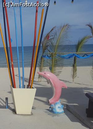 [P11] CC Beach Bar - delini roz dinspre plaja » foto by r-Uca
 - 
<span class="allrVoted glyphicon glyphicon-heart hidden" id="av944583"></span>
<a class="m-l-10 hidden" id="sv944583" onclick="voting_Foto_DelVot(,944583,23447)" role="button">șterge vot <span class="glyphicon glyphicon-remove"></span></a>
<a id="v9944583" class=" c-red"  onclick="voting_Foto_SetVot(944583)" role="button"><span class="glyphicon glyphicon-heart-empty"></span> <b>LIKE</b> = Votează poza</a> <img class="hidden"  id="f944583W9" src="/imagini/loader.gif" border="0" /><span class="AjErrMes hidden" id="e944583ErM"></span>