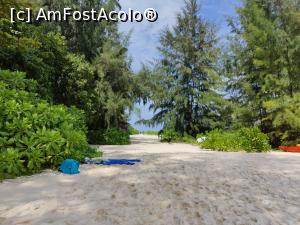 [P58] Bamboo Island » foto by crismis
 - 
<span class="allrVoted glyphicon glyphicon-heart hidden" id="av1368960"></span>
<a class="m-l-10 hidden" id="sv1368960" onclick="voting_Foto_DelVot(,1368960,23453)" role="button">șterge vot <span class="glyphicon glyphicon-remove"></span></a>
<a id="v91368960" class=" c-red"  onclick="voting_Foto_SetVot(1368960)" role="button"><span class="glyphicon glyphicon-heart-empty"></span> <b>LIKE</b> = Votează poza</a> <img class="hidden"  id="f1368960W9" src="/imagini/loader.gif" border="0" /><span class="AjErrMes hidden" id="e1368960ErM"></span>