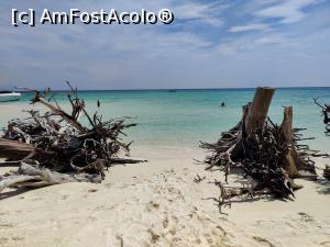 [P61] Bamboo Island » foto by crismis
 - 
<span class="allrVoted glyphicon glyphicon-heart hidden" id="av1368963"></span>
<a class="m-l-10 hidden" id="sv1368963" onclick="voting_Foto_DelVot(,1368963,23453)" role="button">șterge vot <span class="glyphicon glyphicon-remove"></span></a>
<a id="v91368963" class=" c-red"  onclick="voting_Foto_SetVot(1368963)" role="button"><span class="glyphicon glyphicon-heart-empty"></span> <b>LIKE</b> = Votează poza</a> <img class="hidden"  id="f1368963W9" src="/imagini/loader.gif" border="0" /><span class="AjErrMes hidden" id="e1368963ErM"></span>