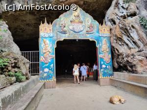 [P61] Intrarea în Monkey Cave » foto by crismis
 - 
<span class="allrVoted glyphicon glyphicon-heart hidden" id="av1369688"></span>
<a class="m-l-10 hidden" id="sv1369688" onclick="voting_Foto_DelVot(,1369688,23453)" role="button">șterge vot <span class="glyphicon glyphicon-remove"></span></a>
<a id="v91369688" class=" c-red"  onclick="voting_Foto_SetVot(1369688)" role="button"><span class="glyphicon glyphicon-heart-empty"></span> <b>LIKE</b> = Votează poza</a> <img class="hidden"  id="f1369688W9" src="/imagini/loader.gif" border="0" /><span class="AjErrMes hidden" id="e1369688ErM"></span>