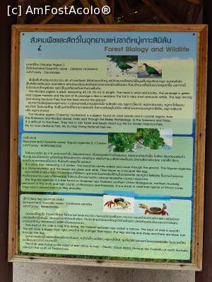 [P24] Pe insula Similan/8 » foto by crismis
 - 
<span class="allrVoted glyphicon glyphicon-heart hidden" id="av1370539"></span>
<a class="m-l-10 hidden" id="sv1370539" onclick="voting_Foto_DelVot(,1370539,23453)" role="button">șterge vot <span class="glyphicon glyphicon-remove"></span></a>
<a id="v91370539" class=" c-red"  onclick="voting_Foto_SetVot(1370539)" role="button"><span class="glyphicon glyphicon-heart-empty"></span> <b>LIKE</b> = Votează poza</a> <img class="hidden"  id="f1370539W9" src="/imagini/loader.gif" border="0" /><span class="AjErrMes hidden" id="e1370539ErM"></span>
