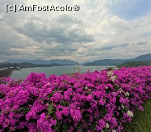 [P38] <strong>Khao Sok Lake </strong> » foto by elenaadina
 - 
<span class="allrVoted glyphicon glyphicon-heart hidden" id="av1355405"></span>
<a class="m-l-10 hidden" id="sv1355405" onclick="voting_Foto_DelVot(,1355405,23453)" role="button">șterge vot <span class="glyphicon glyphicon-remove"></span></a>
<a id="v91355405" class=" c-red"  onclick="voting_Foto_SetVot(1355405)" role="button"><span class="glyphicon glyphicon-heart-empty"></span> <b>LIKE</b> = Votează poza</a> <img class="hidden"  id="f1355405W9" src="/imagini/loader.gif" border="0" /><span class="AjErrMes hidden" id="e1355405ErM"></span>
