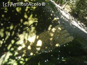 [P09] a doua urma, oamenii arunca banuti » foto by buterfly*
 - 
<span class="allrVoted glyphicon glyphicon-heart hidden" id="av944851"></span>
<a class="m-l-10 hidden" id="sv944851" onclick="voting_Foto_DelVot(,944851,23453)" role="button">șterge vot <span class="glyphicon glyphicon-remove"></span></a>
<a id="v9944851" class=" c-red"  onclick="voting_Foto_SetVot(944851)" role="button"><span class="glyphicon glyphicon-heart-empty"></span> <b>LIKE</b> = Votează poza</a> <img class="hidden"  id="f944851W9" src="/imagini/loader.gif" border="0" /><span class="AjErrMes hidden" id="e944851ErM"></span>