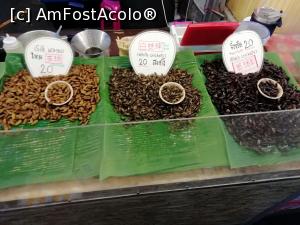 [P13] Insecte, larve, etc. in piata de noapte din Phuket oras » foto by neacsupd
 - 
<span class="allrVoted glyphicon glyphicon-heart hidden" id="av1064529"></span>
<a class="m-l-10 hidden" id="sv1064529" onclick="voting_Foto_DelVot(,1064529,23453)" role="button">șterge vot <span class="glyphicon glyphicon-remove"></span></a>
<a id="v91064529" class=" c-red"  onclick="voting_Foto_SetVot(1064529)" role="button"><span class="glyphicon glyphicon-heart-empty"></span> <b>LIKE</b> = Votează poza</a> <img class="hidden"  id="f1064529W9" src="/imagini/loader.gif" border="0" /><span class="AjErrMes hidden" id="e1064529ErM"></span>