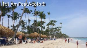 [P14] Un vis împlinit - Republica Dominicană -pe plaja resortului Grand Palladium » foto by nicole33
 - 
<span class="allrVoted glyphicon glyphicon-heart hidden" id="av1048156"></span>
<a class="m-l-10 hidden" id="sv1048156" onclick="voting_Foto_DelVot(,1048156,23455)" role="button">șterge vot <span class="glyphicon glyphicon-remove"></span></a>
<a id="v91048156" class=" c-red"  onclick="voting_Foto_SetVot(1048156)" role="button"><span class="glyphicon glyphicon-heart-empty"></span> <b>LIKE</b> = Votează poza</a> <img class="hidden"  id="f1048156W9" src="/imagini/loader.gif" border="0" /><span class="AjErrMes hidden" id="e1048156ErM"></span>