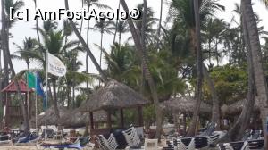 [P24] Un vis împlinit - Republica Dominicană - plaja resortului Grand Palladium » foto by nicole33
 - 
<span class="allrVoted glyphicon glyphicon-heart hidden" id="av1048172"></span>
<a class="m-l-10 hidden" id="sv1048172" onclick="voting_Foto_DelVot(,1048172,23455)" role="button">șterge vot <span class="glyphicon glyphicon-remove"></span></a>
<a id="v91048172" class=" c-red"  onclick="voting_Foto_SetVot(1048172)" role="button"><span class="glyphicon glyphicon-heart-empty"></span> <b>LIKE</b> = Votează poza</a> <img class="hidden"  id="f1048172W9" src="/imagini/loader.gif" border="0" /><span class="AjErrMes hidden" id="e1048172ErM"></span>