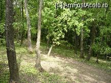 [P05] versantul nordic acoperit de padure, in stanga imaginii se vede cararea care duce in Baile 1 Mai » foto by danoradea
 - 
<span class="allrVoted glyphicon glyphicon-heart hidden" id="av69770"></span>
<a class="m-l-10 hidden" id="sv69770" onclick="voting_Foto_DelVot(,69770,23456)" role="button">șterge vot <span class="glyphicon glyphicon-remove"></span></a>
<a id="v969770" class=" c-red"  onclick="voting_Foto_SetVot(69770)" role="button"><span class="glyphicon glyphicon-heart-empty"></span> <b>LIKE</b> = Votează poza</a> <img class="hidden"  id="f69770W9" src="/imagini/loader.gif" border="0" /><span class="AjErrMes hidden" id="e69770ErM"></span>