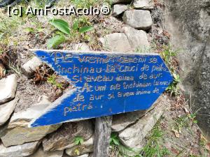 [P11] Corbii de piatra » foto by ⭐ValentinB_88⭐
 - 
<span class="allrVoted glyphicon glyphicon-heart hidden" id="av1327988"></span>
<a class="m-l-10 hidden" id="sv1327988" onclick="voting_Foto_DelVot(,1327988,23474)" role="button">șterge vot <span class="glyphicon glyphicon-remove"></span></a>
<a id="v91327988" class=" c-red"  onclick="voting_Foto_SetVot(1327988)" role="button"><span class="glyphicon glyphicon-heart-empty"></span> <b>LIKE</b> = Votează poza</a> <img class="hidden"  id="f1327988W9" src="/imagini/loader.gif" border="0" /><span class="AjErrMes hidden" id="e1327988ErM"></span>