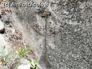 [P12] Corbii de piatra » foto by ⭐ValentinB_88⭐
 - 
<span class="allrVoted glyphicon glyphicon-heart hidden" id="av1327989"></span>
<a class="m-l-10 hidden" id="sv1327989" onclick="voting_Foto_DelVot(,1327989,23474)" role="button">șterge vot <span class="glyphicon glyphicon-remove"></span></a>
<a id="v91327989" class=" c-red"  onclick="voting_Foto_SetVot(1327989)" role="button"><span class="glyphicon glyphicon-heart-empty"></span> <b>LIKE</b> = Votează poza</a> <img class="hidden"  id="f1327989W9" src="/imagini/loader.gif" border="0" /><span class="AjErrMes hidden" id="e1327989ErM"></span>