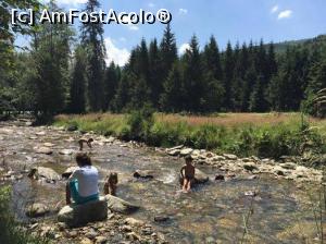[P02] la joaca in natura » foto by Pecheanu*
 - 
<span class="allrVoted glyphicon glyphicon-heart hidden" id="av772950"></span>
<a class="m-l-10 hidden" id="sv772950" onclick="voting_Foto_DelVot(,772950,23474)" role="button">șterge vot <span class="glyphicon glyphicon-remove"></span></a>
<a id="v9772950" class=" c-red"  onclick="voting_Foto_SetVot(772950)" role="button"><span class="glyphicon glyphicon-heart-empty"></span> <b>LIKE</b> = Votează poza</a> <img class="hidden"  id="f772950W9" src="/imagini/loader.gif" border="0" /><span class="AjErrMes hidden" id="e772950ErM"></span>