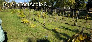 [P69] 69. Unele gospodării au și un petec de vie în vecinătate. » foto by msnd
 - 
<span class="allrVoted glyphicon glyphicon-heart hidden" id="av1508967"></span>
<a class="m-l-10 hidden" id="sv1508967" onclick="voting_Foto_DelVot(,1508967,23475)" role="button">șterge vot <span class="glyphicon glyphicon-remove"></span></a>
<a id="v91508967" class=" c-red"  onclick="voting_Foto_SetVot(1508967)" role="button"><span class="glyphicon glyphicon-heart-empty"></span> <b>LIKE</b> = Votează poza</a> <img class="hidden"  id="f1508967W9" src="/imagini/loader.gif" border="0" /><span class="AjErrMes hidden" id="e1508967ErM"></span>