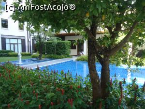 [P04] piscina copiilor invadata de verdeata » foto by buterfly*
 - 
<span class="allrVoted glyphicon glyphicon-heart hidden" id="av950846"></span>
<a class="m-l-10 hidden" id="sv950846" onclick="voting_Foto_DelVot(,950846,23547)" role="button">șterge vot <span class="glyphicon glyphicon-remove"></span></a>
<a id="v9950846" class=" c-red"  onclick="voting_Foto_SetVot(950846)" role="button"><span class="glyphicon glyphicon-heart-empty"></span> <b>LIKE</b> = Votează poza</a> <img class="hidden"  id="f950846W9" src="/imagini/loader.gif" border="0" /><span class="AjErrMes hidden" id="e950846ErM"></span>