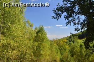 [P12] Drumeție pe lângă apa Blandianei până la Piatra Tomii » foto by Dragoș_MD
 - 
<span class="allrVoted glyphicon glyphicon-heart hidden" id="av942328"></span>
<a class="m-l-10 hidden" id="sv942328" onclick="voting_Foto_DelVot(,942328,23551)" role="button">șterge vot <span class="glyphicon glyphicon-remove"></span></a>
<a id="v9942328" class=" c-red"  onclick="voting_Foto_SetVot(942328)" role="button"><span class="glyphicon glyphicon-heart-empty"></span> <b>LIKE</b> = Votează poza</a> <img class="hidden"  id="f942328W9" src="/imagini/loader.gif" border="0" /><span class="AjErrMes hidden" id="e942328ErM"></span>