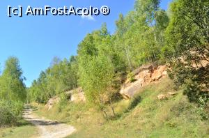 [P13] Drumeție pe lângă apa Blandianei până la Piatra Tomii - asta e curba în ac de păr dinaintea ieșirii spre culme » foto by Dragoș_MD
 - 
<span class="allrVoted glyphicon glyphicon-heart hidden" id="av942330"></span>
<a class="m-l-10 hidden" id="sv942330" onclick="voting_Foto_DelVot(,942330,23551)" role="button">șterge vot <span class="glyphicon glyphicon-remove"></span></a>
<a id="v9942330" class=" c-red"  onclick="voting_Foto_SetVot(942330)" role="button"><span class="glyphicon glyphicon-heart-empty"></span> <b>LIKE</b> = Votează poza</a> <img class="hidden"  id="f942330W9" src="/imagini/loader.gif" border="0" /><span class="AjErrMes hidden" id="e942330ErM"></span>