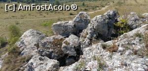 [P19] Șanțuri săpate de ape și vreme în calcar » foto by Dragoș_MD
 - 
<span class="allrVoted glyphicon glyphicon-heart hidden" id="av942346"></span>
<a class="m-l-10 hidden" id="sv942346" onclick="voting_Foto_DelVot(,942346,23551)" role="button">șterge vot <span class="glyphicon glyphicon-remove"></span></a>
<a id="v9942346" class=" c-red"  onclick="voting_Foto_SetVot(942346)" role="button"><span class="glyphicon glyphicon-heart-empty"></span> <b>LIKE</b> = Votează poza</a> <img class="hidden"  id="f942346W9" src="/imagini/loader.gif" border="0" /><span class="AjErrMes hidden" id="e942346ErM"></span>