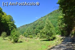 [P06] Drumeție pe lângă apa Blandianei până la Piatra Tomii » foto by Dragoș_MD
 - 
<span class="allrVoted glyphicon glyphicon-heart hidden" id="av942316"></span>
<a class="m-l-10 hidden" id="sv942316" onclick="voting_Foto_DelVot(,942316,23551)" role="button">șterge vot <span class="glyphicon glyphicon-remove"></span></a>
<a id="v9942316" class=" c-red"  onclick="voting_Foto_SetVot(942316)" role="button"><span class="glyphicon glyphicon-heart-empty"></span> <b>LIKE</b> = Votează poza</a> <img class="hidden"  id="f942316W9" src="/imagini/loader.gif" border="0" /><span class="AjErrMes hidden" id="e942316ErM"></span>