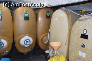 [P15] Vase din fibră de sticlă în beciul familiei Iepure din comuna Ciumbrud, jud. Alba.  » foto by traian.leuca †
 - 
<span class="allrVoted glyphicon glyphicon-heart hidden" id="av951073"></span>
<a class="m-l-10 hidden" id="sv951073" onclick="voting_Foto_DelVot(,951073,23551)" role="button">șterge vot <span class="glyphicon glyphicon-remove"></span></a>
<a id="v9951073" class=" c-red"  onclick="voting_Foto_SetVot(951073)" role="button"><span class="glyphicon glyphicon-heart-empty"></span> <b>LIKE</b> = Votează poza</a> <img class="hidden"  id="f951073W9" src="/imagini/loader.gif" border="0" /><span class="AjErrMes hidden" id="e951073ErM"></span>
