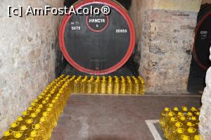 [P21] Butoi de 5000 de litri în pivniţele LOGOS din oraşul Aiud, jud. Alba » foto by traian.leuca †
 - 
<span class="allrVoted glyphicon glyphicon-heart hidden" id="av951079"></span>
<a class="m-l-10 hidden" id="sv951079" onclick="voting_Foto_DelVot(,951079,23551)" role="button">șterge vot <span class="glyphicon glyphicon-remove"></span></a>
<a id="v9951079" class=" c-red"  onclick="voting_Foto_SetVot(951079)" role="button"><span class="glyphicon glyphicon-heart-empty"></span> <b>LIKE</b> = Votează poza</a> <img class="hidden"  id="f951079W9" src="/imagini/loader.gif" border="0" /><span class="AjErrMes hidden" id="e951079ErM"></span>