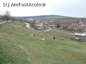 [P01] Cetatea de baltă - turma de mioare de lângă Castel » foto by ANILU
 - 
<span class="allrVoted glyphicon glyphicon-heart hidden" id="av952404"></span>
<a class="m-l-10 hidden" id="sv952404" onclick="voting_Foto_DelVot(,952404,23551)" role="button">șterge vot <span class="glyphicon glyphicon-remove"></span></a>
<a id="v9952404" class=" c-red"  onclick="voting_Foto_SetVot(952404)" role="button"><span class="glyphicon glyphicon-heart-empty"></span> <b>LIKE</b> = Votează poza</a> <img class="hidden"  id="f952404W9" src="/imagini/loader.gif" border="0" /><span class="AjErrMes hidden" id="e952404ErM"></span>
