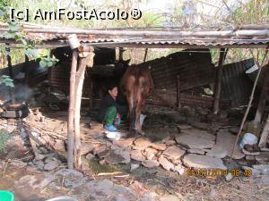 [P14] stapina mulgind vaca » foto by adri-nico
 - 
<span class="allrVoted glyphicon glyphicon-heart hidden" id="av953633"></span>
<a class="m-l-10 hidden" id="sv953633" onclick="voting_Foto_DelVot(,953633,23559)" role="button">șterge vot <span class="glyphicon glyphicon-remove"></span></a>
<a id="v9953633" class=" c-red"  onclick="voting_Foto_SetVot(953633)" role="button"><span class="glyphicon glyphicon-heart-empty"></span> <b>LIKE</b> = Votează poza</a> <img class="hidden"  id="f953633W9" src="/imagini/loader.gif" border="0" /><span class="AjErrMes hidden" id="e953633ErM"></span>