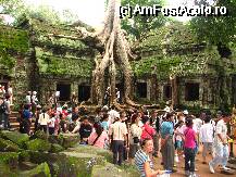 [P32] Temple 'inghitite' de jungla. La propriu... » foto by lizuk
 - 
<span class="allrVoted glyphicon glyphicon-heart hidden" id="av55112"></span>
<a class="m-l-10 hidden" id="sv55112" onclick="voting_Foto_DelVot(,55112,23583)" role="button">șterge vot <span class="glyphicon glyphicon-remove"></span></a>
<a id="v955112" class=" c-red"  onclick="voting_Foto_SetVot(55112)" role="button"><span class="glyphicon glyphicon-heart-empty"></span> <b>LIKE</b> = Votează poza</a> <img class="hidden"  id="f55112W9" src="/imagini/loader.gif" border="0" /><span class="AjErrMes hidden" id="e55112ErM"></span>