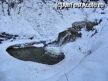 [P32]  -- <small>// FĂRĂ DESCRIERE</small> » foto by Rusalka
 - 
<span class="allrVoted glyphicon glyphicon-heart hidden" id="av210563"></span>
<a class="m-l-10 hidden" id="sv210563" onclick="voting_Foto_DelVot(,210563,23593)" role="button">șterge vot <span class="glyphicon glyphicon-remove"></span></a>
<a id="v9210563" class=" c-red"  onclick="voting_Foto_SetVot(210563)" role="button"><span class="glyphicon glyphicon-heart-empty"></span> <b>LIKE</b> = Votează poza</a> <img class="hidden"  id="f210563W9" src="/imagini/loader.gif" border="0" /><span class="AjErrMes hidden" id="e210563ErM"></span>
