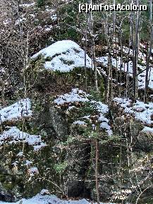 [P06]  -- <small>// FĂRĂ DESCRIERE</small> » foto by Rusalka
 - 
<span class="allrVoted glyphicon glyphicon-heart hidden" id="av210537"></span>
<a class="m-l-10 hidden" id="sv210537" onclick="voting_Foto_DelVot(,210537,23593)" role="button">șterge vot <span class="glyphicon glyphicon-remove"></span></a>
<a id="v9210537" class=" c-red"  onclick="voting_Foto_SetVot(210537)" role="button"><span class="glyphicon glyphicon-heart-empty"></span> <b>LIKE</b> = Votează poza</a> <img class="hidden"  id="f210537W9" src="/imagini/loader.gif" border="0" /><span class="AjErrMes hidden" id="e210537ErM"></span>