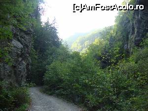 [P24] Cheile Lotrișorului - un loc frumos!  » foto by Floryn81
 - 
<span class="allrVoted glyphicon glyphicon-heart hidden" id="av679909"></span>
<a class="m-l-10 hidden" id="sv679909" onclick="voting_Foto_DelVot(,679909,23593)" role="button">șterge vot <span class="glyphicon glyphicon-remove"></span></a>
<a id="v9679909" class=" c-red"  onclick="voting_Foto_SetVot(679909)" role="button"><span class="glyphicon glyphicon-heart-empty"></span> <b>LIKE</b> = Votează poza</a> <img class="hidden"  id="f679909W9" src="/imagini/loader.gif" border="0" /><span class="AjErrMes hidden" id="e679909ErM"></span>