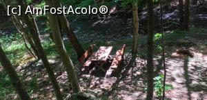 [P03] Loc de popas » foto by VasiuM
 - 
<span class="allrVoted glyphicon glyphicon-heart hidden" id="av1167165"></span>
<a class="m-l-10 hidden" id="sv1167165" onclick="voting_Foto_DelVot(,1167165,23593)" role="button">șterge vot <span class="glyphicon glyphicon-remove"></span></a>
<a id="v91167165" class=" c-red"  onclick="voting_Foto_SetVot(1167165)" role="button"><span class="glyphicon glyphicon-heart-empty"></span> <b>LIKE</b> = Votează poza</a> <img class="hidden"  id="f1167165W9" src="/imagini/loader.gif" border="0" /><span class="AjErrMes hidden" id="e1167165ErM"></span>