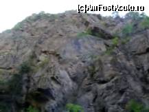 [P17] In drum spre Cascada  Lotrisor - stinci imense ce strajuiesc drumul forestier » foto by mario 110
 - 
<span class="allrVoted glyphicon glyphicon-heart hidden" id="av46923"></span>
<a class="m-l-10 hidden" id="sv46923" onclick="voting_Foto_DelVot(,46923,23593)" role="button">șterge vot <span class="glyphicon glyphicon-remove"></span></a>
<a id="v946923" class=" c-red"  onclick="voting_Foto_SetVot(46923)" role="button"><span class="glyphicon glyphicon-heart-empty"></span> <b>LIKE</b> = Votează poza</a> <img class="hidden"  id="f46923W9" src="/imagini/loader.gif" border="0" /><span class="AjErrMes hidden" id="e46923ErM"></span>