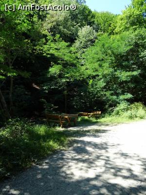 [P05] Loc de popas pe marginea drumului forestier. » foto by tata123 🔱
 - 
<span class="allrVoted glyphicon glyphicon-heart hidden" id="av1252445"></span>
<a class="m-l-10 hidden" id="sv1252445" onclick="voting_Foto_DelVot(,1252445,23593)" role="button">șterge vot <span class="glyphicon glyphicon-remove"></span></a>
<a id="v91252445" class=" c-red"  onclick="voting_Foto_SetVot(1252445)" role="button"><span class="glyphicon glyphicon-heart-empty"></span> <b>LIKE</b> = Votează poza</a> <img class="hidden"  id="f1252445W9" src="/imagini/loader.gif" border="0" /><span class="AjErrMes hidden" id="e1252445ErM"></span>