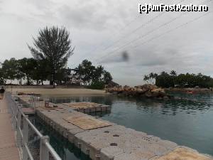 [P10] Fox Finishing Point, aterizarea tirolianei de la MegaZip Adventure Park, pe alta insulita.  » foto by mprofeanu
 - 
<span class="allrVoted glyphicon glyphicon-heart hidden" id="av597794"></span>
<a class="m-l-10 hidden" id="sv597794" onclick="voting_Foto_DelVot(,597794,23598)" role="button">șterge vot <span class="glyphicon glyphicon-remove"></span></a>
<a id="v9597794" class=" c-red"  onclick="voting_Foto_SetVot(597794)" role="button"><span class="glyphicon glyphicon-heart-empty"></span> <b>LIKE</b> = Votează poza</a> <img class="hidden"  id="f597794W9" src="/imagini/loader.gif" border="0" /><span class="AjErrMes hidden" id="e597794ErM"></span>