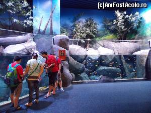 [P30] Biosistem S. E. A. Aquarium.  » foto by mprofeanu
 - 
<span class="allrVoted glyphicon glyphicon-heart hidden" id="av597814"></span>
<a class="m-l-10 hidden" id="sv597814" onclick="voting_Foto_DelVot(,597814,23598)" role="button">șterge vot <span class="glyphicon glyphicon-remove"></span></a>
<a id="v9597814" class=" c-red"  onclick="voting_Foto_SetVot(597814)" role="button"><span class="glyphicon glyphicon-heart-empty"></span> <b>LIKE</b> = Votează poza</a> <img class="hidden"  id="f597814W9" src="/imagini/loader.gif" border="0" /><span class="AjErrMes hidden" id="e597814ErM"></span>