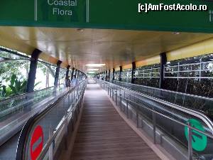 [P37] Sentosa Boardwalk, o cale acoperita, cu benzi rulante pe care ne-am intors in Singapore.  » foto by mprofeanu
 - 
<span class="allrVoted glyphicon glyphicon-heart hidden" id="av597840"></span>
<a class="m-l-10 hidden" id="sv597840" onclick="voting_Foto_DelVot(,597840,23598)" role="button">șterge vot <span class="glyphicon glyphicon-remove"></span></a>
<a id="v9597840" class=" c-red"  onclick="voting_Foto_SetVot(597840)" role="button"><span class="glyphicon glyphicon-heart-empty"></span> <b>LIKE</b> = Votează poza</a> <img class="hidden"  id="f597840W9" src="/imagini/loader.gif" border="0" /><span class="AjErrMes hidden" id="e597840ErM"></span>