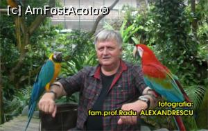 [P18] Până ne hotărâm cum ne înțelegem, tăcerea ține loc de cuvinte. » foto by glcitizen
 - 
<span class="allrVoted glyphicon glyphicon-heart hidden" id="av930655"></span>
<a class="m-l-10 hidden" id="sv930655" onclick="voting_Foto_DelVot(,930655,23598)" role="button">șterge vot <span class="glyphicon glyphicon-remove"></span></a>
<a id="v9930655" class=" c-red"  onclick="voting_Foto_SetVot(930655)" role="button"><span class="glyphicon glyphicon-heart-empty"></span> <b>LIKE</b> = Votează poza</a> <img class="hidden"  id="f930655W9" src="/imagini/loader.gif" border="0" /><span class="AjErrMes hidden" id="e930655ErM"></span>