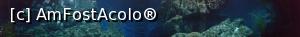 [P10] Buddha scufundat » foto by Tesaria
 - 
<span class="allrVoted glyphicon glyphicon-heart hidden" id="av956646"></span>
<a class="m-l-10 hidden" id="sv956646" onclick="voting_Foto_DelVot(,956646,23615)" role="button">șterge vot <span class="glyphicon glyphicon-remove"></span></a>
<a id="v9956646" class=" c-red"  onclick="voting_Foto_SetVot(956646)" role="button"><span class="glyphicon glyphicon-heart-empty"></span> <b>LIKE</b> = Votează poza</a> <img class="hidden"  id="f956646W9" src="/imagini/loader.gif" border="0" /><span class="AjErrMes hidden" id="e956646ErM"></span>