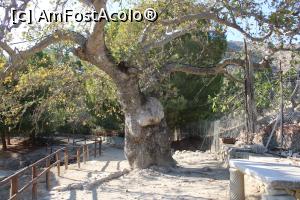[P52] Creta, Situl Arheologic Gortyna, Pe potecă pe lângă anticul Odeon » foto by mprofeanu
 - 
<span class="allrVoted glyphicon glyphicon-heart hidden" id="av1278031"></span>
<a class="m-l-10 hidden" id="sv1278031" onclick="voting_Foto_DelVot(,1278031,23643)" role="button">șterge vot <span class="glyphicon glyphicon-remove"></span></a>
<a id="v91278031" class=" c-red"  onclick="voting_Foto_SetVot(1278031)" role="button"><span class="glyphicon glyphicon-heart-empty"></span> <b>LIKE</b> = Votează poza</a> <img class="hidden"  id="f1278031W9" src="/imagini/loader.gif" border="0" /><span class="AjErrMes hidden" id="e1278031ErM"></span>