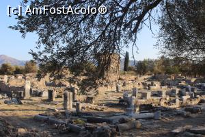 [P68] Creta, La revedere Gortyna! » foto by mprofeanu
 - 
<span class="allrVoted glyphicon glyphicon-heart hidden" id="av1278047"></span>
<a class="m-l-10 hidden" id="sv1278047" onclick="voting_Foto_DelVot(,1278047,23643)" role="button">șterge vot <span class="glyphicon glyphicon-remove"></span></a>
<a id="v91278047" class=" c-red"  onclick="voting_Foto_SetVot(1278047)" role="button"><span class="glyphicon glyphicon-heart-empty"></span> <b>LIKE</b> = Votează poza</a> <img class="hidden"  id="f1278047W9" src="/imagini/loader.gif" border="0" /><span class="AjErrMes hidden" id="e1278047ErM"></span>