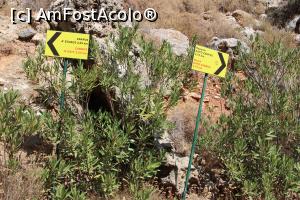 [P23] Creta, Zakros, Defileul Morților, Indicatoare spre Zakros și spre Plaja Kato Zakros » foto by mprofeanu
 - 
<span class="allrVoted glyphicon glyphicon-heart hidden" id="av1278372"></span>
<a class="m-l-10 hidden" id="sv1278372" onclick="voting_Foto_DelVot(,1278372,23643)" role="button">șterge vot <span class="glyphicon glyphicon-remove"></span></a>
<a id="v91278372" class=" c-red"  onclick="voting_Foto_SetVot(1278372)" role="button"><span class="glyphicon glyphicon-heart-empty"></span> <b>LIKE</b> = Votează poza</a> <img class="hidden"  id="f1278372W9" src="/imagini/loader.gif" border="0" /><span class="AjErrMes hidden" id="e1278372ErM"></span>