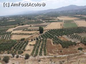 [P13] Campia de la poalele Festosului » foto by argemi*
 - 
<span class="allrVoted glyphicon glyphicon-heart hidden" id="av959022"></span>
<a class="m-l-10 hidden" id="sv959022" onclick="voting_Foto_DelVot(,959022,23643)" role="button">șterge vot <span class="glyphicon glyphicon-remove"></span></a>
<a id="v9959022" class=" c-red"  onclick="voting_Foto_SetVot(959022)" role="button"><span class="glyphicon glyphicon-heart-empty"></span> <b>LIKE</b> = Votează poza</a> <img class="hidden"  id="f959022W9" src="/imagini/loader.gif" border="0" /><span class="AjErrMes hidden" id="e959022ErM"></span>