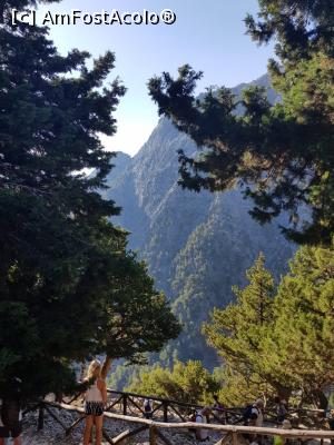 [P24]  -- <small>// FĂRĂ DESCRIERE</small> » foto by SIMONA PLESCA
 - 
<span class="allrVoted glyphicon glyphicon-heart hidden" id="av998884"></span>
<a class="m-l-10 hidden" id="sv998884" onclick="voting_Foto_DelVot(,998884,23643)" role="button">șterge vot <span class="glyphicon glyphicon-remove"></span></a>
<a id="v9998884" class=" c-red"  onclick="voting_Foto_SetVot(998884)" role="button"><span class="glyphicon glyphicon-heart-empty"></span> <b>LIKE</b> = Votează poza</a> <img class="hidden"  id="f998884W9" src="/imagini/loader.gif" border="0" /><span class="AjErrMes hidden" id="e998884ErM"></span>