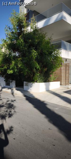 [P10]  -- <small>// FĂRĂ DESCRIERE</small> » foto by cristimicle
 - 
<span class="allrVoted glyphicon glyphicon-heart hidden" id="av1503544"></span>
<a class="m-l-10 hidden" id="sv1503544" onclick="voting_Foto_DelVot(,1503544,23650)" role="button">șterge vot <span class="glyphicon glyphicon-remove"></span></a>
<a id="v91503544" class=" c-red"  onclick="voting_Foto_SetVot(1503544)" role="button"><span class="glyphicon glyphicon-heart-empty"></span> <b>LIKE</b> = Votează poza</a> <img class="hidden"  id="f1503544W9" src="/imagini/loader.gif" border="0" /><span class="AjErrMes hidden" id="e1503544ErM"></span>