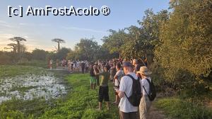 [P21] aici s-au strâns toti turiștii » foto by robert
 - 
<span class="allrVoted glyphicon glyphicon-heart hidden" id="av1487085"></span>
<a class="m-l-10 hidden" id="sv1487085" onclick="voting_Foto_DelVot(,1487085,23651)" role="button">șterge vot <span class="glyphicon glyphicon-remove"></span></a>
<a id="v91487085" class=" c-red"  onclick="voting_Foto_SetVot(1487085)" role="button"><span class="glyphicon glyphicon-heart-empty"></span> <b>LIKE</b> = Votează poza</a> <img class="hidden"  id="f1487085W9" src="/imagini/loader.gif" border="0" /><span class="AjErrMes hidden" id="e1487085ErM"></span>