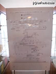 [P21] Galati - Casa memoriala Alexandru Ioan Cuza - arborele genealogic al lui Alexandru Ioan Cuza » foto by Diaura*
 - 
<span class="allrVoted glyphicon glyphicon-heart hidden" id="av165345"></span>
<a class="m-l-10 hidden" id="sv165345" onclick="voting_Foto_DelVot(,165345,23670)" role="button">șterge vot <span class="glyphicon glyphicon-remove"></span></a>
<a id="v9165345" class=" c-red"  onclick="voting_Foto_SetVot(165345)" role="button"><span class="glyphicon glyphicon-heart-empty"></span> <b>LIKE</b> = Votează poza</a> <img class="hidden"  id="f165345W9" src="/imagini/loader.gif" border="0" /><span class="AjErrMes hidden" id="e165345ErM"></span>