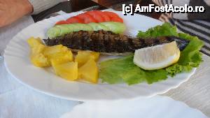 [P05] o dorada suparata caci a fost fripta pe gratar si legumele aferente » foto by amero
 - 
<span class="allrVoted glyphicon glyphicon-heart hidden" id="av414100"></span>
<a class="m-l-10 hidden" id="sv414100" onclick="voting_Foto_DelVot(,414100,23685)" role="button">șterge vot <span class="glyphicon glyphicon-remove"></span></a>
<a id="v9414100" class=" c-red"  onclick="voting_Foto_SetVot(414100)" role="button"><span class="glyphicon glyphicon-heart-empty"></span> <b>LIKE</b> = Votează poza</a> <img class="hidden"  id="f414100W9" src="/imagini/loader.gif" border="0" /><span class="AjErrMes hidden" id="e414100ErM"></span>